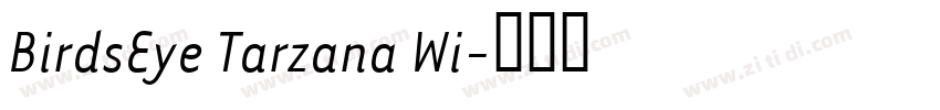 BirdsEye Tarzana Wi字体转换